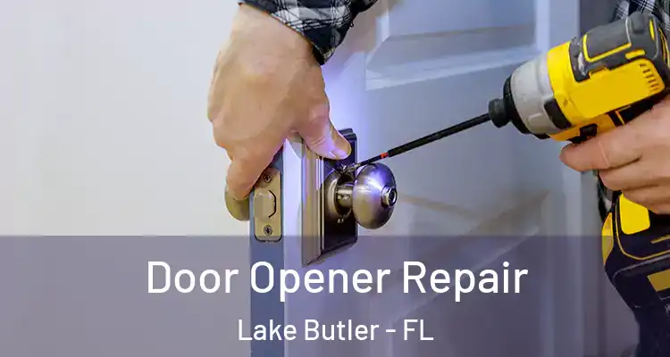  Door Opener Repair Lake Butler - FL